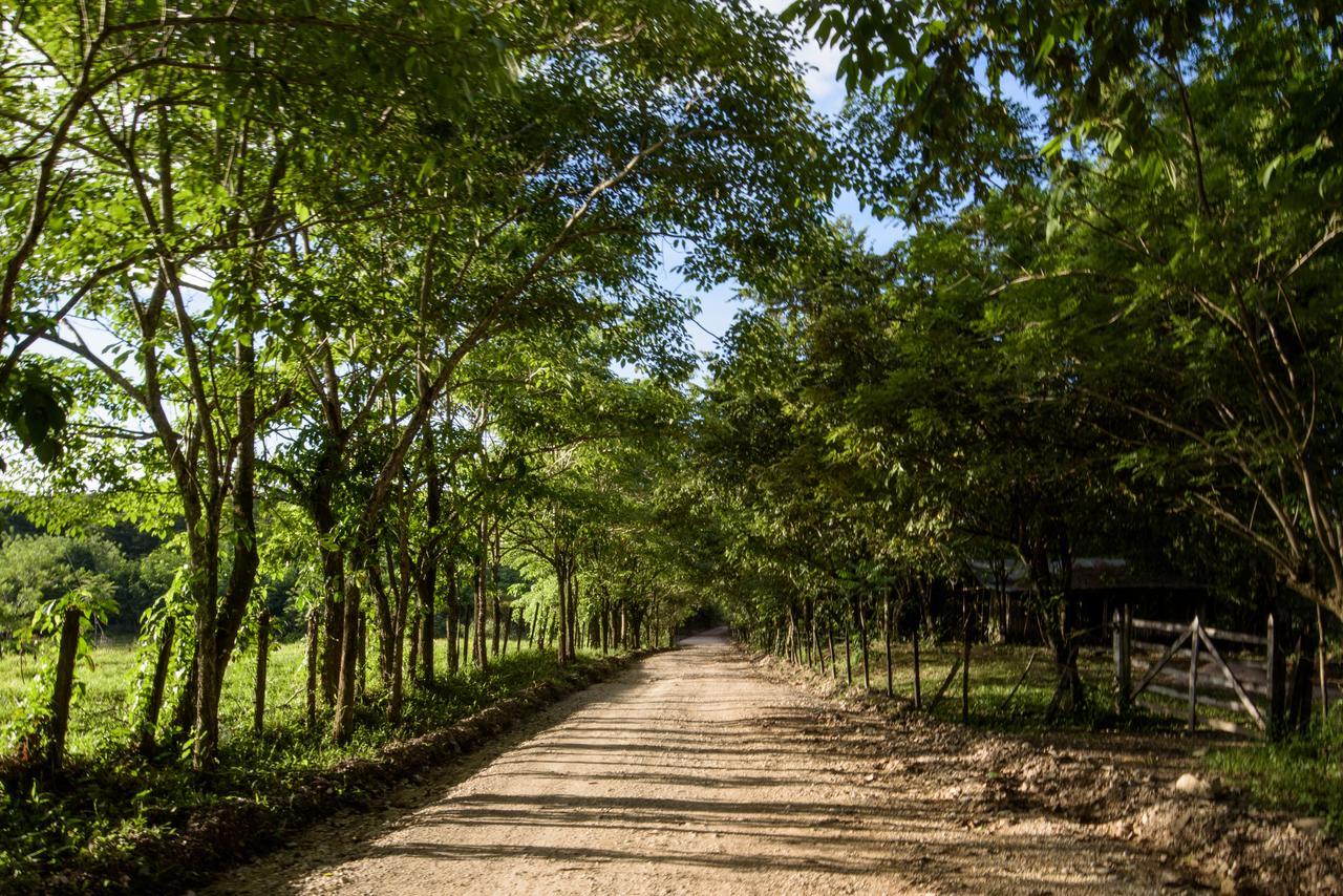 Villas Adriana, Palenque Zewnętrze zdjęcie